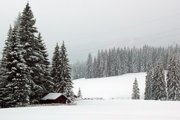 Verschneites Feld mit Hütte