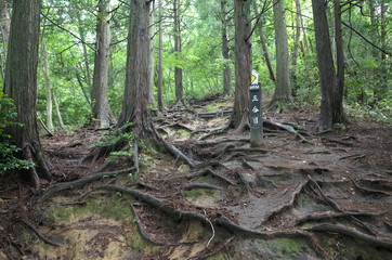 日本の山のとても美しい風景