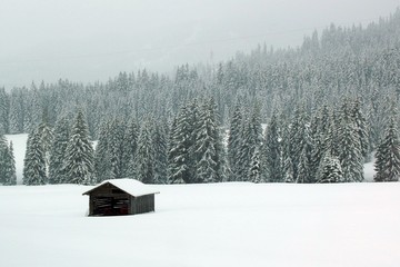 Winterlandschaft, Österreich, Maria Alm