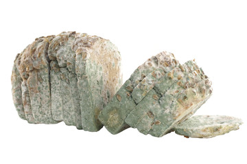 mouldy bread isolated