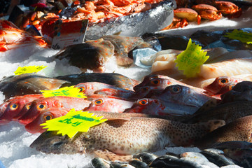 Fresh seafood on the counter of the fish market.