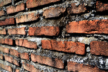 the texture of a brick wall, a simple house