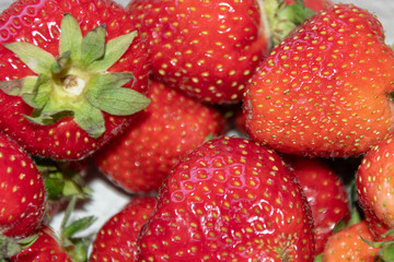 Frische Erdbeeren in Schale 
