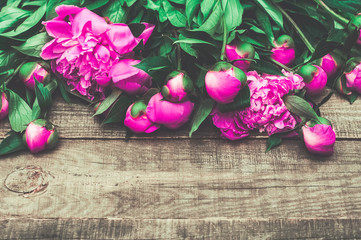 Beautiful pink buds of peonies with green leaves on dark brown wooden boards. Bright garden flowers. Natural background. Greeting card. Top view. Flat lay.