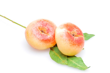 Peaches on a white background..