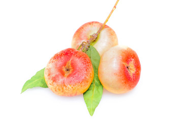Peaches on a white background..