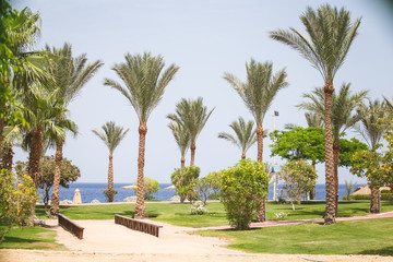 Obraz na płótnie Canvas Playground by the beach. Tropical background