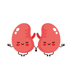 Strong cute healthy happy kidneys