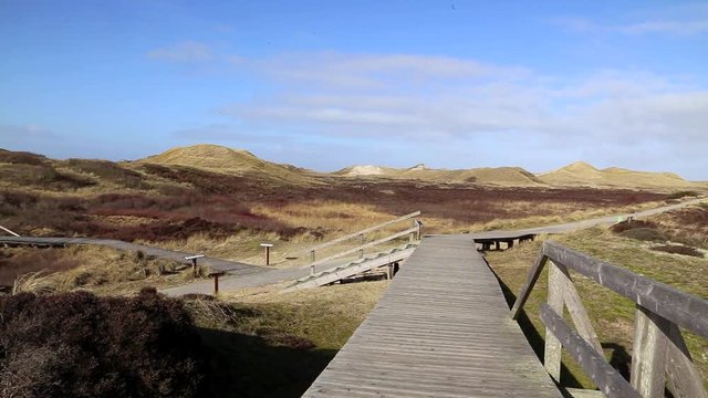 Amrum dunes landscape at the North Sea, Germany