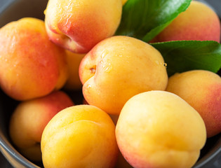 sweet delicious apricot on dark bowl grey table summer fresh fruit