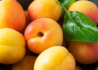 sweet delicious apricot on dark bowl grey table summer fresh fruit