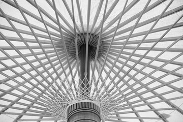 under the umbrella for protection from sunlight black and white light