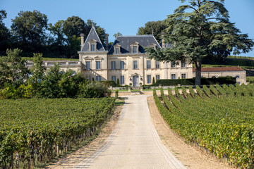  Vineyard of Chateau Fonplegade - name (literally fountain of plenty) was derived from the historic 13th century stone fountain that graces the estate's vineyard. St Emilion, France