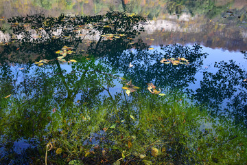 View of blue lake with reflection