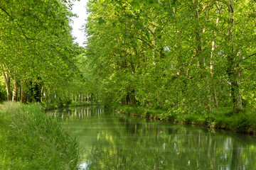 Fototapeta premium view of the canal de garonne in Bordeaux, France