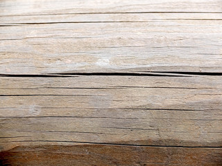 Obraz premium Wooden log close up, abstract background