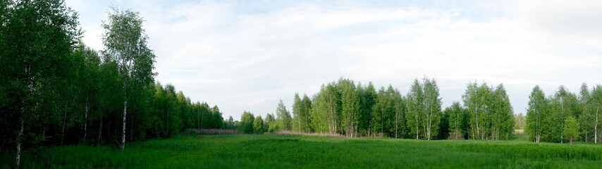 Fototapeta na wymiar Panorama of landscape with forest, meadow and blue sky