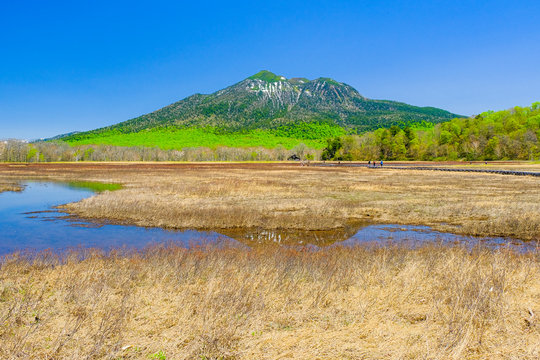 「竜宮」の画像 324 件の Stock 写真、ベクターおよびビデオ Adobe Stock