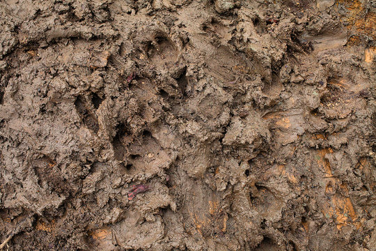 Texture of brown mud. Slobber desktop image.