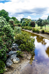 Pleasure craft moored in the bay, Stanamore Bay, Auckland, New Zealand..Larus novaehollandiae