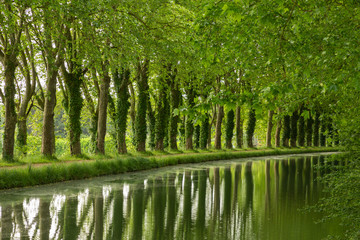 Fototapeta premium view of the canal de garonne in Bordeaux, France