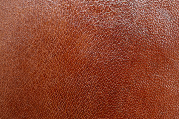 texture leather camel brown
