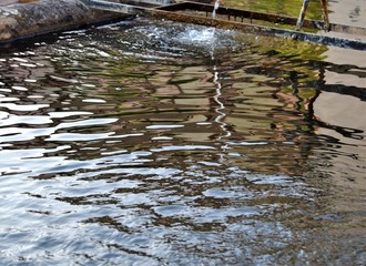 Brunnen