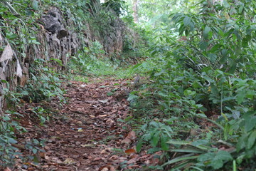 Narrow village walkway