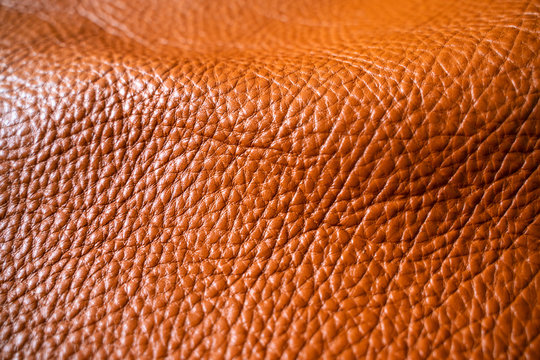 Light Brown Tan Genuine Leather Texture