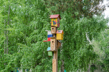 Many self-made wooden birdhouses on the pole
