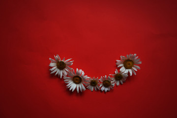 heart of red flowers