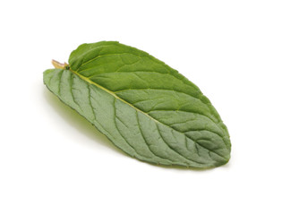 Leaf of green mint. © voren1