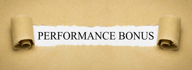 Performance Bonus