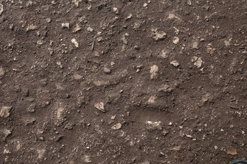 Stony road surface texture. Beachy roadway surface. Drive full of stones. Ironbound of forest drive-way. Rocky skin of timber drive. Stony ride idle screen. Background image of tophaceous footpath.