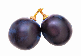 Cutout of blue grape berries, isolated on white background without shadow. Two ripe grape berries in white scene. Overhead shot, macro photography.