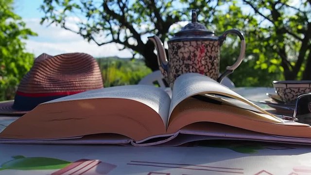 Il mio Blowing pages in the breezy wind, Book, holiday relax in the garden green with an antique teapot