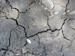dirt ground texture in Poland. Drought and no rain.