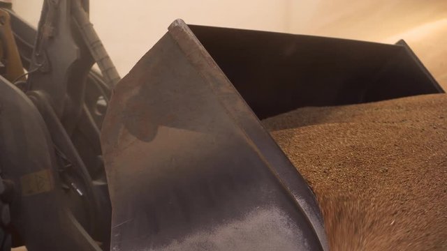 Wheel loader working on construction site. Heavy machinery in warehouse. Wheel bulldozer moving soil in scoop. Close up of excavator bucket .