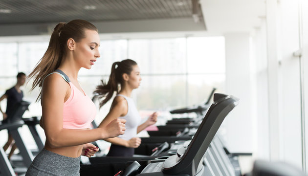 Training in gym. Women doing cardio workout on treadmill