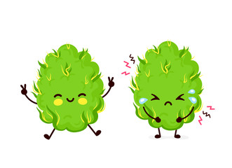 Cute sad cry scary paranoid and happy marijuana