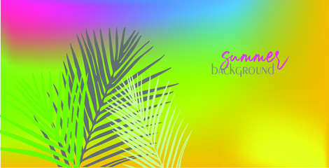 Fototapeta na wymiar tropical palm background