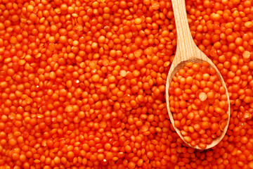 Orange lentils in a wooden spoon on a background of lentils