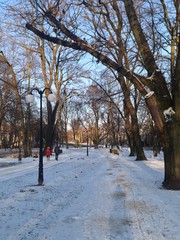 park