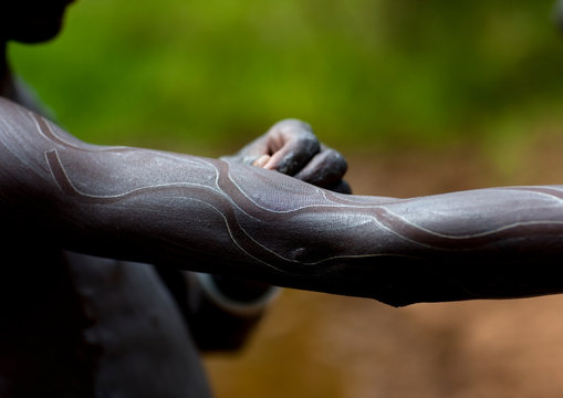 Clay body paintings on suri warriors before donga stick fighting, Turgit village, Omo valley, Ethiopia