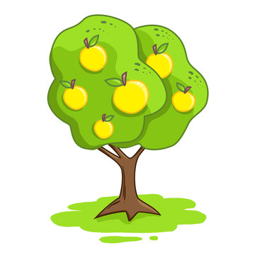 Vector illustration of an apple tree isolated on a white background. Yellow apples.