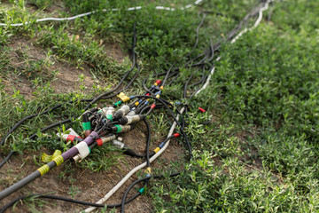Naklejka premium Connectors for music and microphone for a festive party. Wires with connectors xlr lie on the ground and on the grass