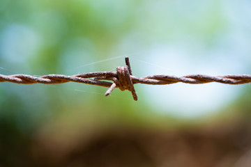 rusty old barbed metal wire
