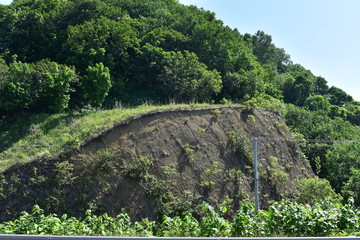 崖の法面