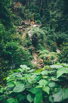 Gitgit waterfall at Bali, Indonesia