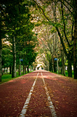 alley in the park